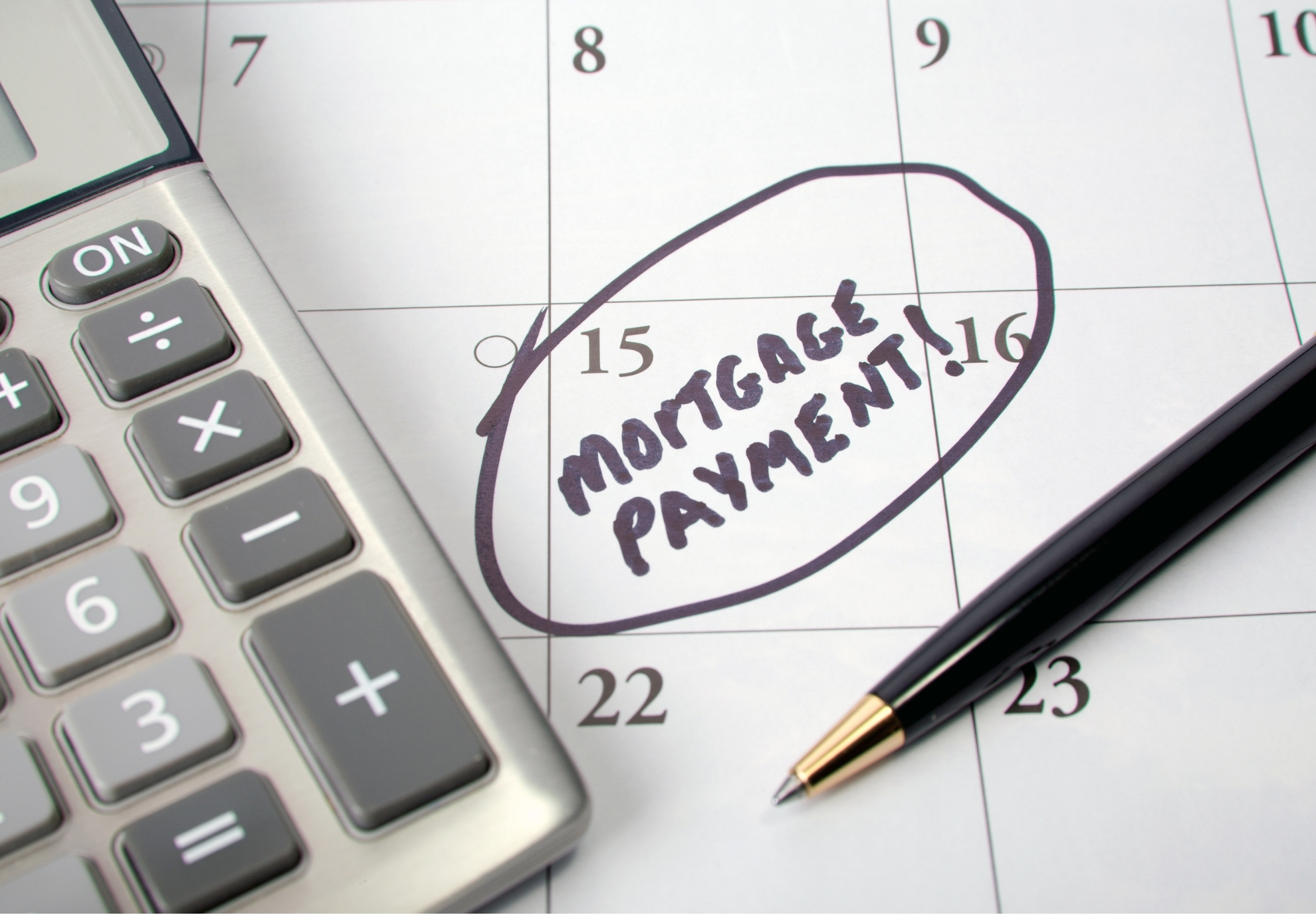 No Payments for 12 Months